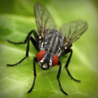 /album/condense/photolia-a01-jpg/