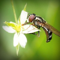 /album/condense/photolia-a02-jpg/