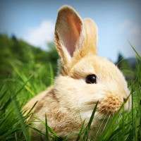 /album/condense/photolia-a03-jpg/