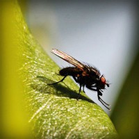 /album/condense/photolia-a04-jpg/