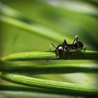 /album/condense/photolia-a05-jpg/