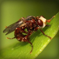 /album/condense/photolia-a06-jpg/