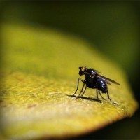 /album/condense/photolia-a07-jpg/