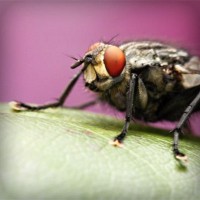 /album/condense/photolia-a08-jpg/